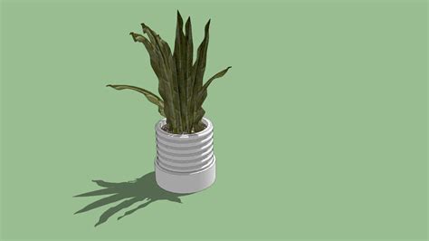 Indoor Plants Sketchup : Potted Plant (large) | Bocamawasuag