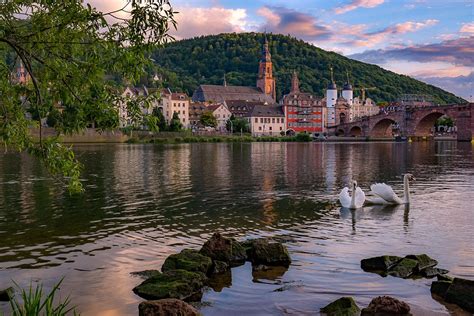 At the Neckar river, Heidelberg, Germany