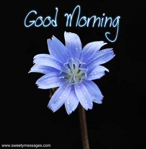 Good Morning Messages - Beautiful Messages