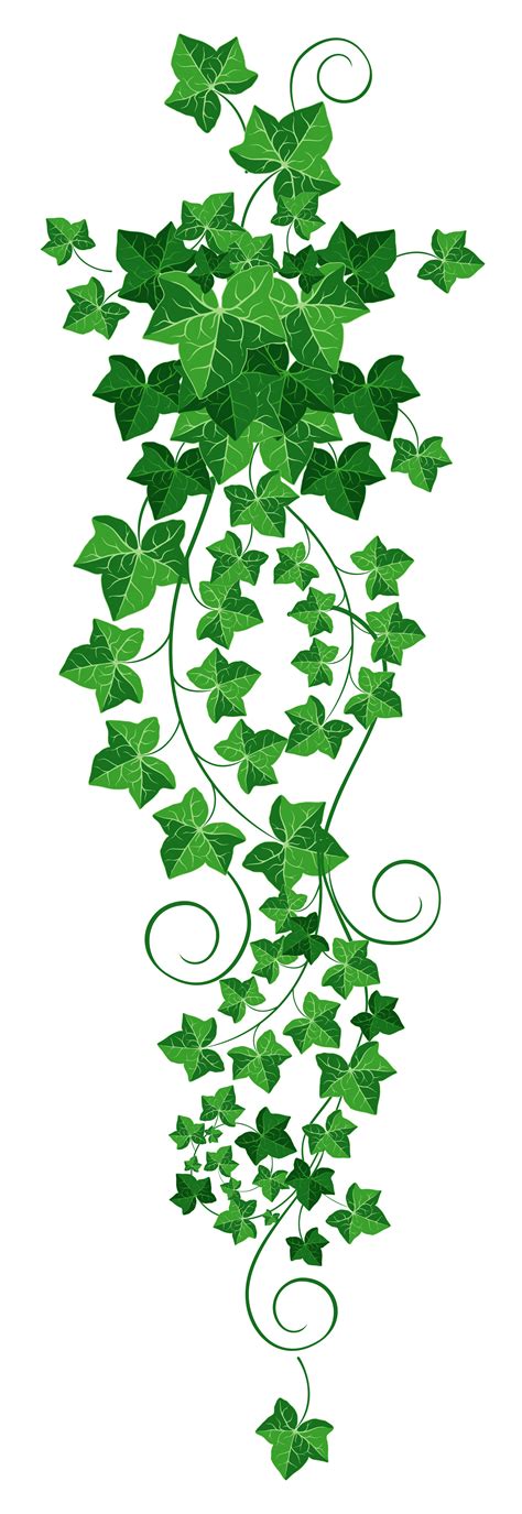 Free Ivy Leaf Png, Download Free Ivy Leaf Png png images, Free ClipArts ...