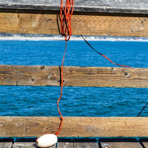 Ventura Pier Fishing (A. McKinsey Photo) | Pier fishing, Ventura pier, Photography inspiration