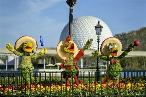 Epcot International Flower And Garden Festival | Fasci Garden