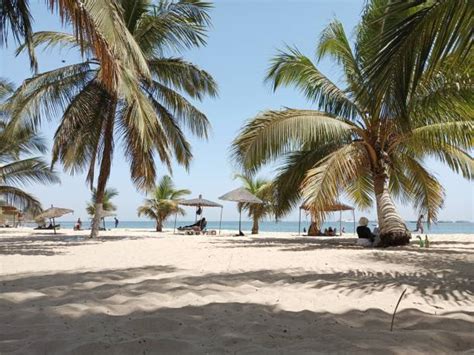 2,100+ Senegal Beaches Stock Photos, Pictures & Royalty-Free Images ...