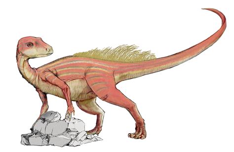 File:Abrictosaurus dinosaur.png - Wikimedia Commons