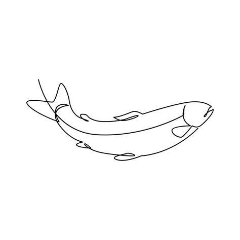 Salmon fish single line illustration 36177000 Vector Art at Vecteezy