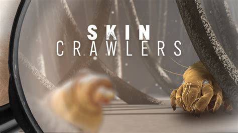 Skin Crawlers - Underknown