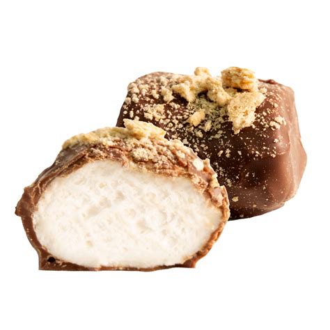 *NEW* Ingredients 2pc Milk Chocolate Covered Marshmallows with Graham Crackers