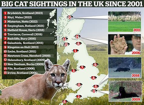 What IS the truth behind big cat sightings in the UK?: Map reveals ...