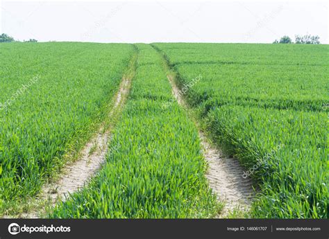 Tractor tracks through a green agricultural field ⬇ Stock Photo, Image ...