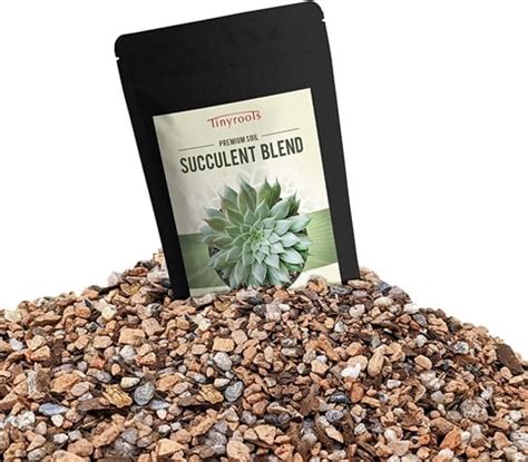 10 Best Soils for Christmas Cactus in 2024 - Reviews & Top Picks | House Grail