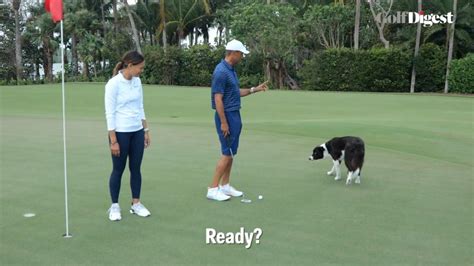 Tiger Woods' dogs, Bugs and Lola, fetch his golf balls for him | Golf ...