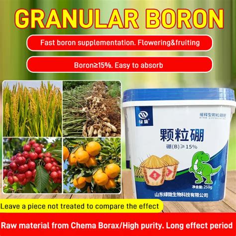 nicomart Green Granular Boron Fertilizer for fruit and vegetables,Nutrient Fertilizer for ...