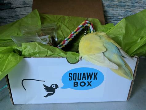 Squawk Box Subscription Box Review - June 2017 - Hello Subscription