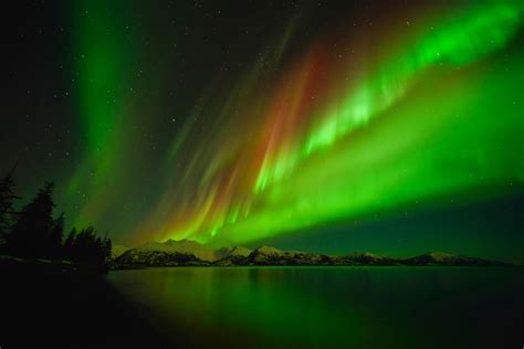 Northern Lights Viewing in Alaska | Travel Alaska