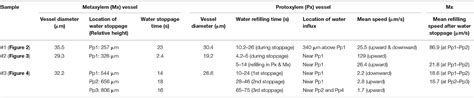 Frontiers | Vulnerability of Protoxylem and Metaxylem Vessels to ...