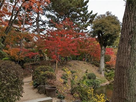 Top 3 Things to Do in Shukkeien Garden Hiroshima