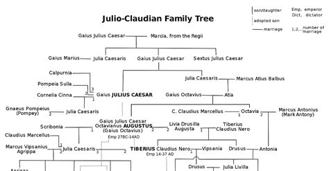 Julio-Claudian Family Tree (Illustration) - World History Encyclopedia