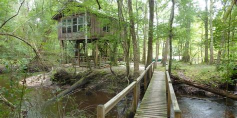 Edisto River Treehouses (Canadys, SC): What to Know BEFORE You Bring Your Family