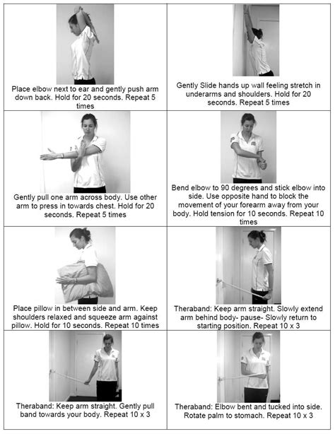 Physiotherapy Exercises For Back Pain These exercises are a general ...