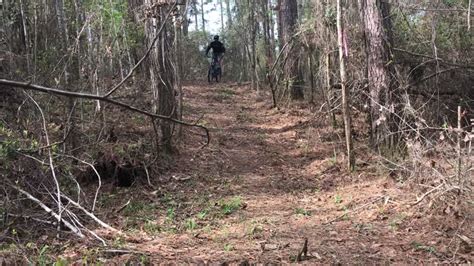 Bogue Chitto State Park Mountain Bike Trail in Franklinton, Louisiana ...