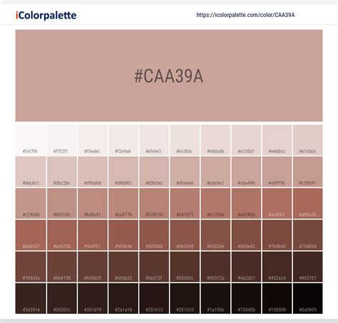 Pantone 15-1512 Tcx Misty Rose Color #caa39a Hex Color, 48% OFF