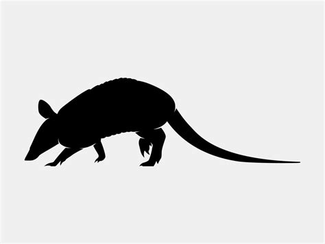 armadillo vector silhouette 11139382 Vector Art at Vecteezy