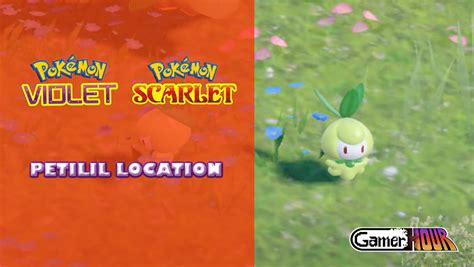 Pokemon Scarlet & Violet: Petilil Location - GamerHour