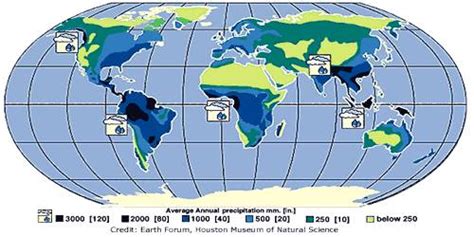 World Distribution of Rainfall - QS Study