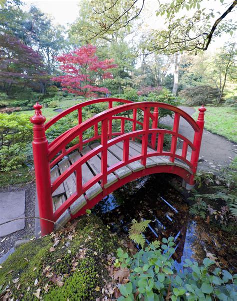 49 Tranquil Backyard Garden Bridge Ideas and Designs | Japanese garden landscape, Backyard ...