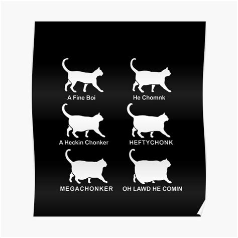 "Chonk Cat Classification Chart Funny Chonk Chart" Poster for Sale by ...