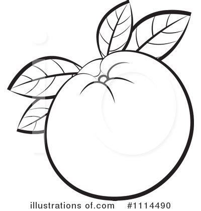 Oranges Clipart #1114490 - Illustration by Lal Perera