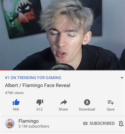 Flamingo Albert Face Reveal