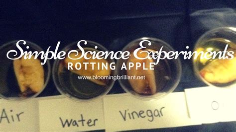 Simple Science Experiments for Kids S2 E2 The Apple Rotting Experiment ...