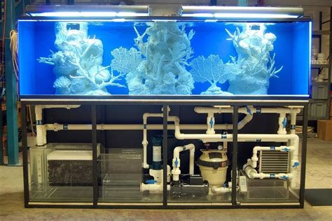 A Complete Guide to Choosing the Best Aquarium Filter | Аквариумные рыбки, Фильтры для аквариума ...