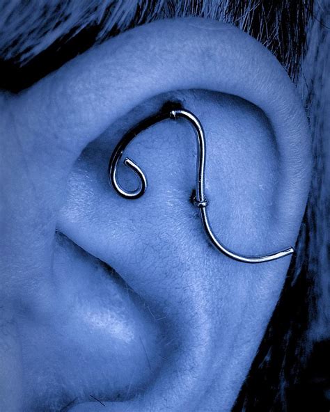 Blue ear Photograph by Noah Babcock - Fine Art America