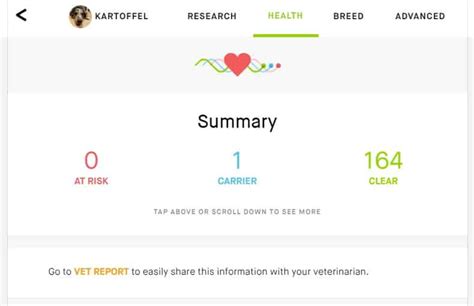 Embark DNA Test Review - Worth the $200? – Woof Whiskers