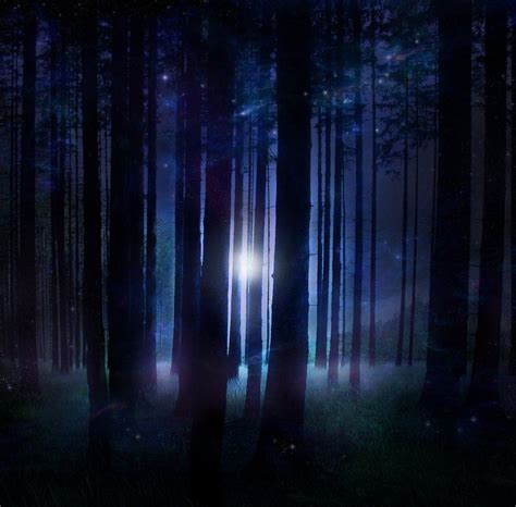 moonlight through trees #Trees #Moon | Interesting Pictures | Mystical forest, Night forest ...