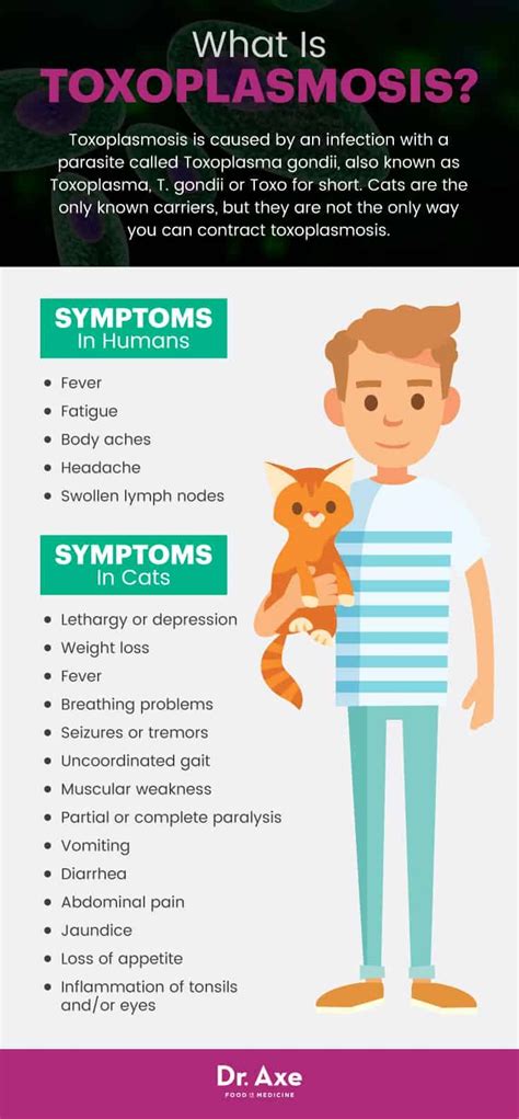 Toxoplasmosis Symptoms + 8 Natural Treatments - Dr. Axe | Parasite, Symptoms, Cat diseases