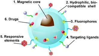 Synthesis and bio-functionalization of magnetic nanoparticles for medical diagnosis and ...