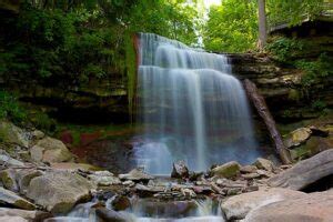 Best 4 activities at Smokey Hollow Waterfall Hamilton