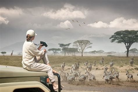 The Serengeti: Tourism or Overtourism? - Proud African Safaris