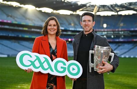 Limerick All-Ireland winner unveiled as a new hurling analyst with GAAGO - Limerick Live