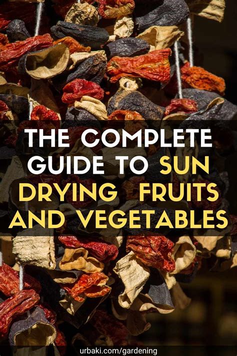 The Complete Guide to Sun Drying Fruits and Vegetables