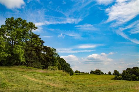 Summer Landscape Free Stock Photo - Public Domain Pictures