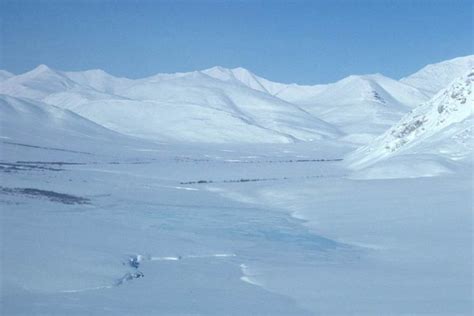 The Tundra Biome: Facts, Pictures & Information; A Land Of Frozen Beauty