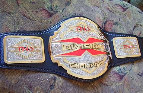 TNA X Division Championship (New-TNA) | CAW Wrestling Wiki | FANDOM ...