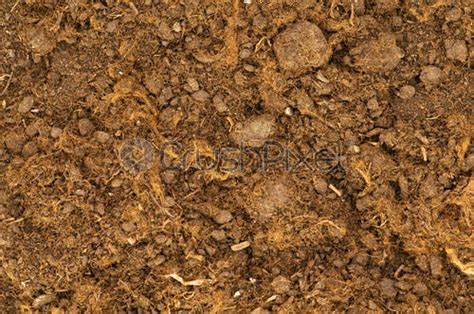 Soil clean ground texture background Dirt black earth - stock photo 2668521 | Crushpixel