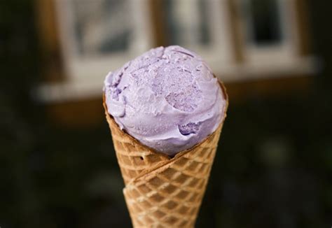 Lavender Honey Ice Cream Recipe