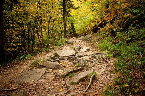 Appalachian Trail | Flickr - Photo Sharing!