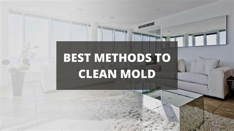 How to Remove Mold From Walls With Vinegar: Expert Guide